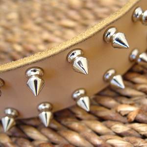 spiked leather dog collar