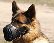 German Shepherd Muzzle