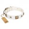 “Dog in White” FDT Artisan White Leather Dog Collar Adorned with Stars and Squares