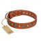 "Natural Beauty" FDT Artisan Tan Leather Dog Collar with Shining Silver-like Studs