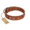 "Egyptian Gifts" Handmade FDT Artisan Tan Leather Dog Collar with Chrome-plated Pyramids