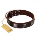 "Nut-Brown Finery" Embellished FDT Artisan Brown Leather Dog Collar with Chrome Plated Crossbones and Plates