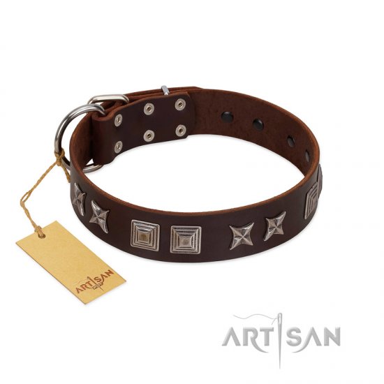 "Needle Stories" Modern FDT Artisan Brown Leather Dog Collar with Square Engraved Plates and Four-Point Stars