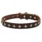 'Yellow Star' Fashionable Dog Collar with Old-Like Bronze Decoration