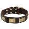 New Design Leather Dog Collar with Massive Decor