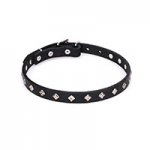 "Trendy Diamonds" Studded Leather Collar for Dog - 3/4 Inch (20 mm)