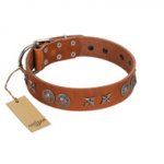 "Splendid Armor" Premium Quality FDT Artisan Tan Designer Dog Collar with Shields and Stars