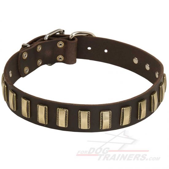 Decorated Leather Dog Collar with Brass Vertical Plates - Click Image to Close