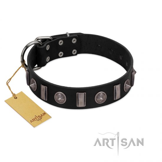 "Silver Spikes" Exclusive FDT Artisan Black Leather Dog Collar