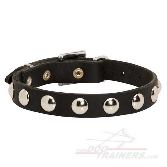 "Shiny Elegance" Leather Dog Collar for Walking with Nickel Half-Ball Studs - Click Image to Close