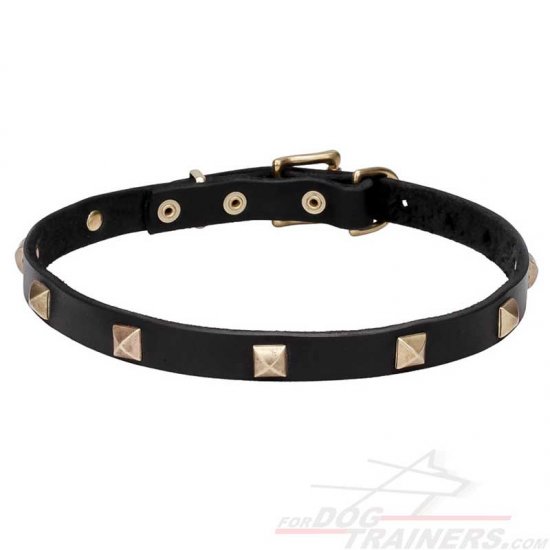 "Modern Style" Leather Dog Collar with Studs Made of Brass