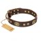 'One-of-a-Kind' FDT Artisan Handmade Decorated Brown Leather Dog Collar