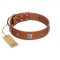 "Lucky Star" FDT Artisan Tan Leather Dog Collar with Silver-Like Embellishments