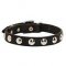 "Shiny Elegance" Leather Dog Collar for Walking with Nickel Half-Ball Studs