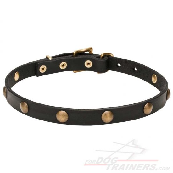 'Elegant Beauty' Fashion Leather Dog Collar with Brass Hardware 4/5 inch (20 mm) Wide - Click Image to Close