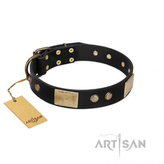 "Antique Gloss" FDT Artisan Black Leather Dog Collar with Bronze-like Plates and Small Studs