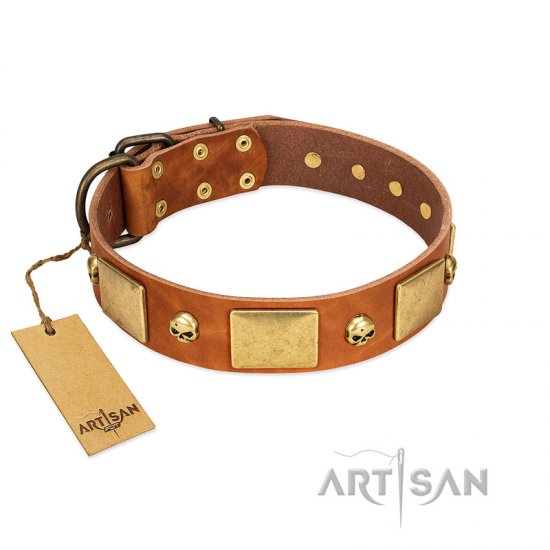 "Mutt The Daredevil" FDT Artisan Tan Leather Dog Collar with Old Bronze-like Skulls and Plates - Click Image to Close