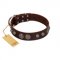 "Choco Brownie" FDT Artisan Brown Leather Dog Collar Adorned with Silver-Like Conchos