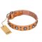 ‘Extra Sparkle’ FDT Artisan Handcrafted Tan Leather Dog Collar