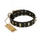 "Medieval Style" FDT Artisan Leather Dog Collar with Brass Plates and Spikes