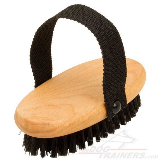 Bristle Dog Brush for Everyday Grooming 'Brush & Go' - Click Image to Close