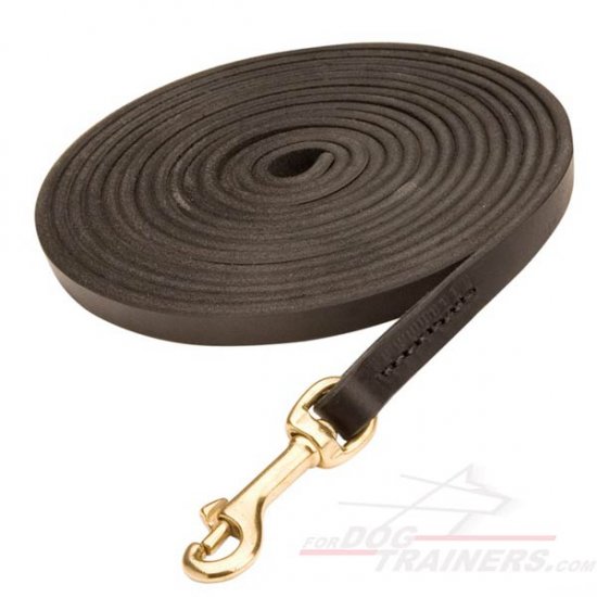 Training and Tracking Leather Dog Leash - Super Long Lead