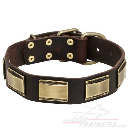 Handcrafted Leather Dog Collar with Brass Plates - Click Image to Close