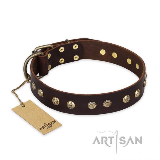 ‘Bronze Sheen’ FDT Artisan Leather Dog Collar with Brass-Plated Studs - 1 1/2 inch (40 mm) wide