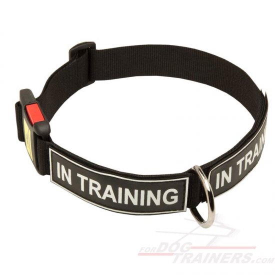 Strong All Weather Nylon Dog Collar with Patches and Quick Release Buckle - Click Image to Close