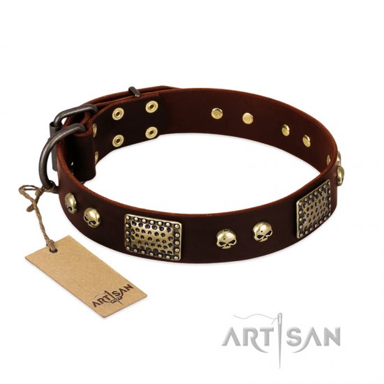 ‘Magic Amulet’ FDT Artisan Brown Leather Dog Collar with Skulls and Plates