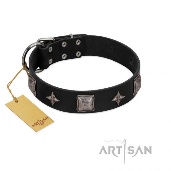 "Black Cavalier" Handmade FDT Artisan Black Leather Dog Collar with Silver-Like Stars and Large Plates