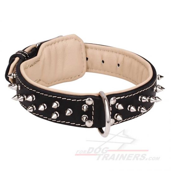 Creative Design Leather Dog Collar with 2 Rows of Nickel-plated Spikes