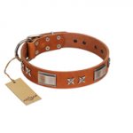 "Sweet Biscuit" FDT Artisan Tan Leather Dog Collar with Stars and Plates