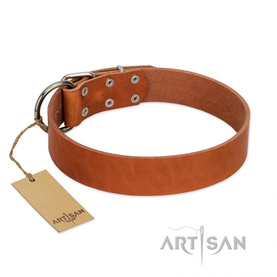 "El Classico" FDT Artisan First-class Tan Leather Dog Collar