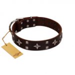 "Trendy Candy" FDT Artisan Brown Leather Dog Collar Adorned with Stars and Tiny Squares