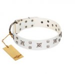 "Star Patrol" FDT Artisan White Leather Dog Collar Adorned with Stars and Studs