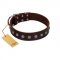 "Gladiator Style" Stylish FDT Artisan Brown Leather Dog Collar for Comfy Walks