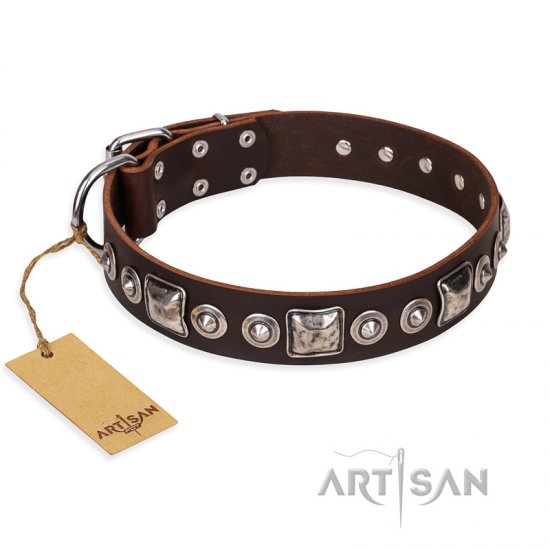 'Pierian spring' FDT Artisan Brown Leather Dog Collar with Silvery Decorations - 1 1/2 inch (40 mm) wide - Click Image to Close