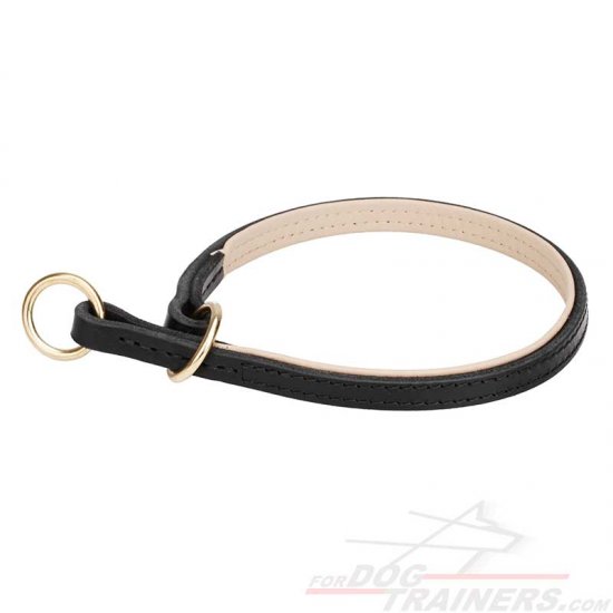 Strong Leather Dog Choke Collar for Quality Control over Your Pet