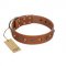 "Silver Age" Fashionable FDT Artisan Tan Leather Dog Collar with Silver-Like Studs