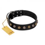 "Inky Prettification" FDT Artisan Black Leather Dog Collar with One Row of Studs