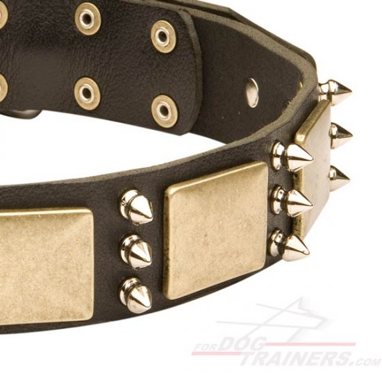 Gorgeous War Dog Leather Dog Collar Adorned with Mix of Plates and Spikes