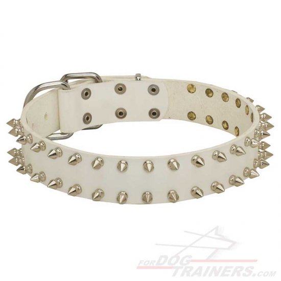 "White Rose" Leather Dog Collar with Nickel Plated Spikes for Walking - Click Image to Close