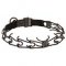 Black Stainless Steel Dog Pinch Collar with Click Lock Buckle - 1/8 inch (3.2 mm) link diameter