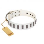 "Heaven's Gates" Handmade FDT Artisan White Leather Dog Collar with Silver-Like Engraved Plates