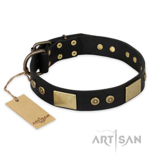 'Spanish night' FDT Artisan Fashionable Leather Walking Dog Collar - 1 1/2 inch (40mm) wide