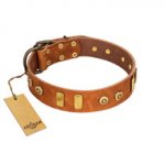 "Egyptian Script" FDT Artisan Tan Leather Dog Collar with Plates and Small Studs