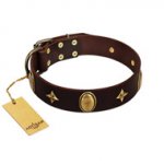 "Victory and Laurels" FDT Artisan Brown Leather Dog Collar with Ovals and Stars