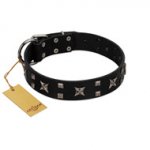 "Dreams in Stars" Modern FDT Artisan Black Leather Dog Collar with Studs and Stars