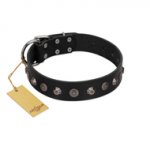 "Black Knight" Handmade FDT Artisan Black Leather Dog Collar with Silver-Like Studs